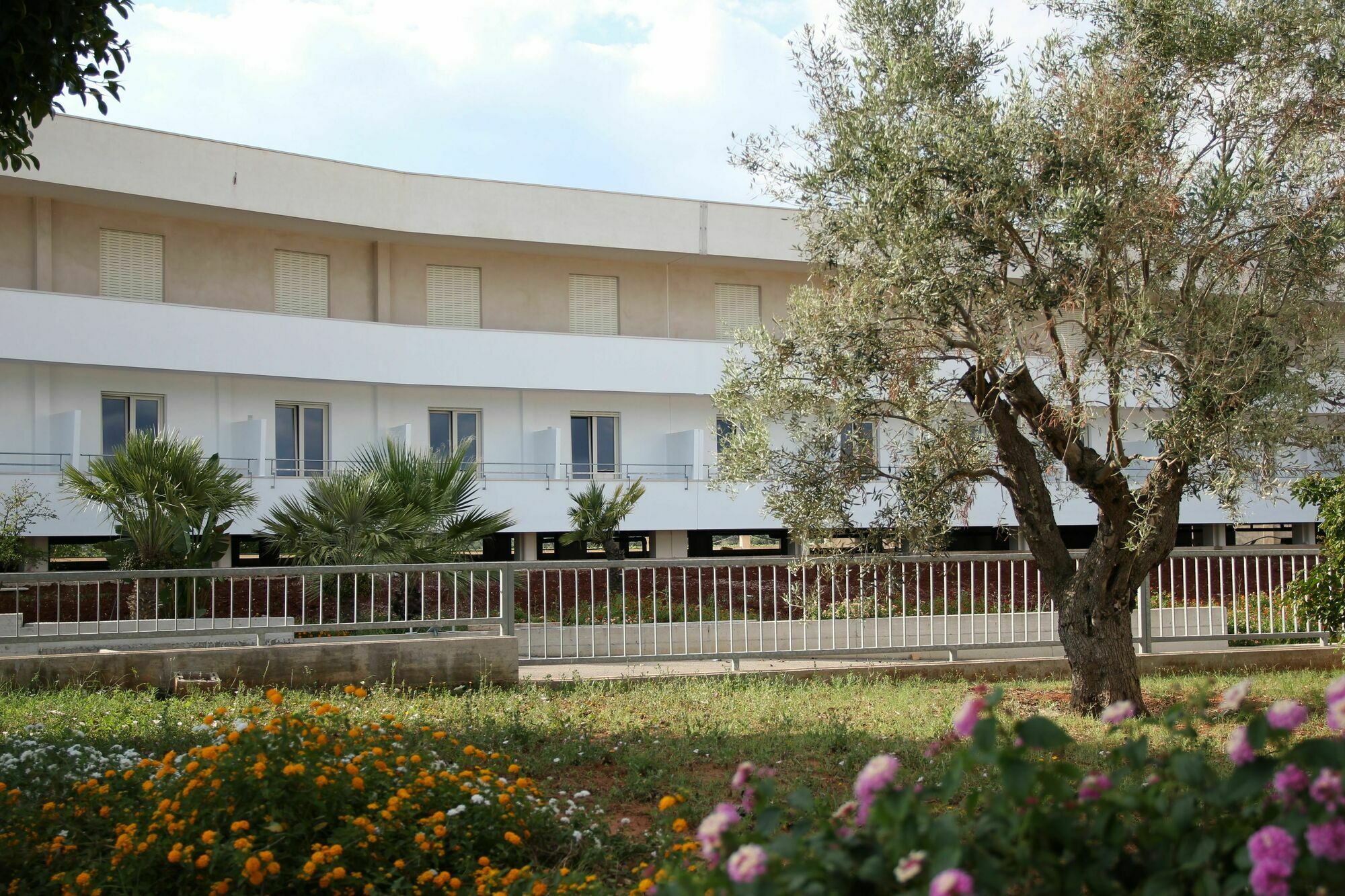 אוג'נטו Alfema Rooms מראה חיצוני תמונה